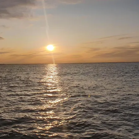 Kompassqualle * Dornumersiel