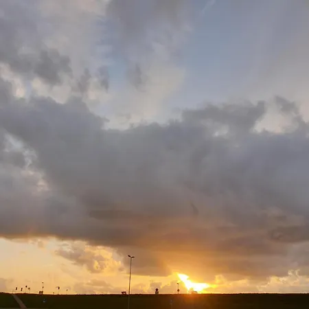 Kompassqualle * Dornumersiel