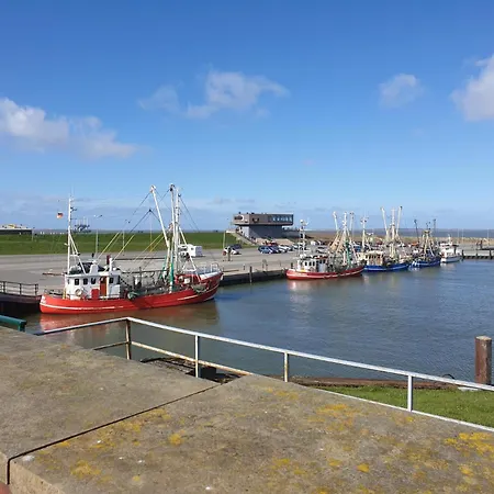 Kompassqualle Nyaraló